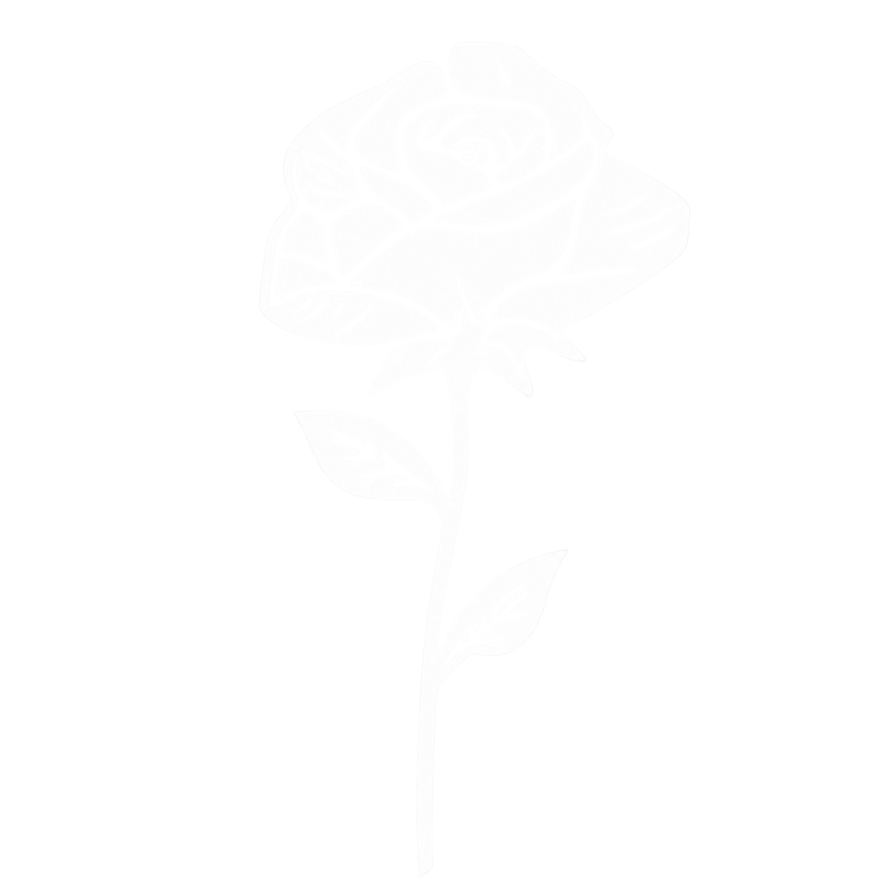ROSEBOW 